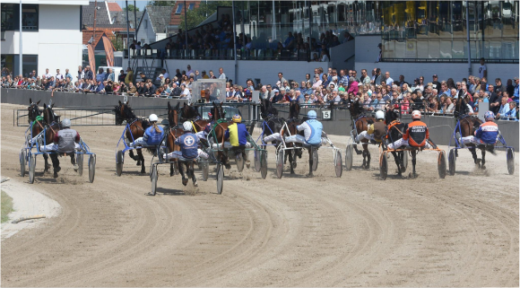 De nacht van Alkmaar