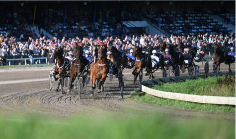 Nederlandse derby ‘P’